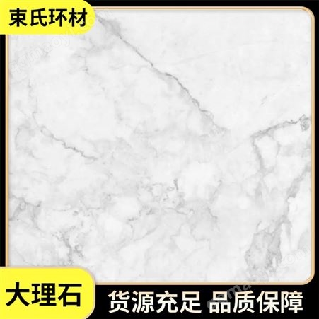 束氏环材 通体连纹大理石瓷砖 客厅防滑地板砖