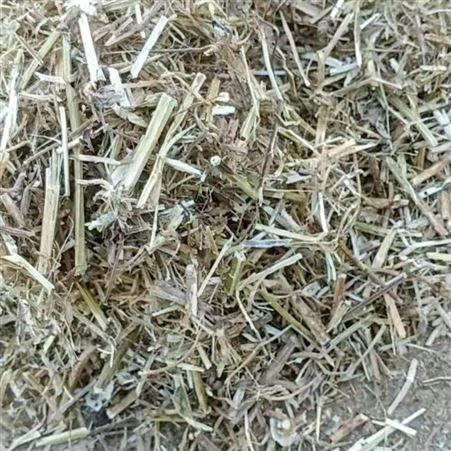 花生秧 中洲 花生秧颗粒 花生秧秸秆草料 营养价值高 优良产品