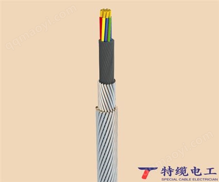 承荷探測電纜