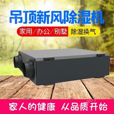 BL柏朗新风除湿系统BLDH别墅新风除湿系统 新风净化除湿机 全热交换新风除湿机
