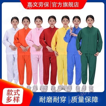 嘉 文勞保 工裝食品廠加工車間工作服透氣舒適