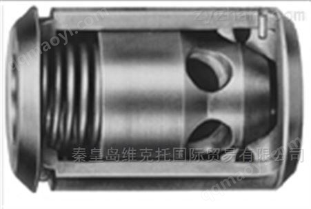 荷兰BRONKHORST流量计