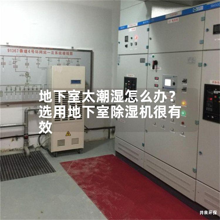 地下室太潮濕怎么辦？選用地下室除濕機很有效